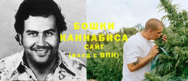 мдпв Зеленодольск