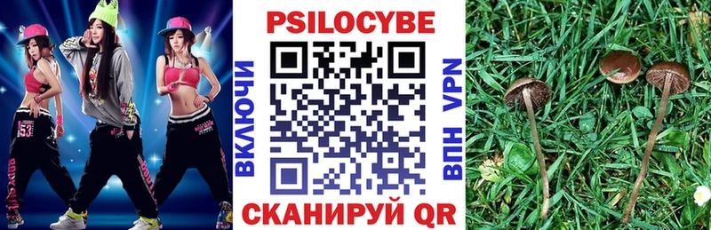 Псилоцибиновые грибы MAGIC MUSHROOMS  Купить  Боровск 